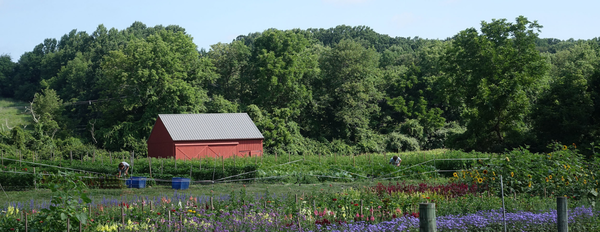 Get in the Dirt with Rushton Farm | August 19